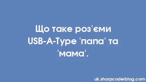 Що таке роз'єми USB-A-Type 'папа' та 'мама'. - Thumbnail